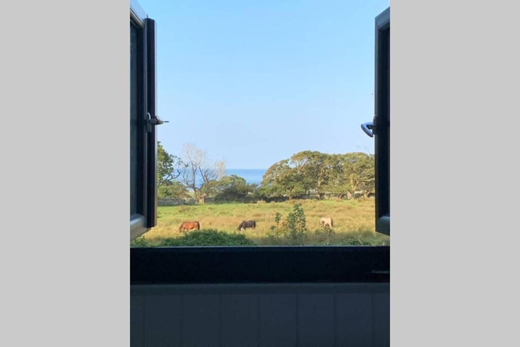 Lle Mary - Beautiful Views, Hot Tub, Secluded, Dog Welcome, Barmouth Llanddwywe Exterior foto